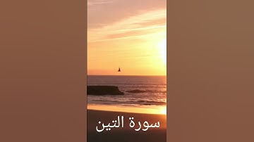 سورة التين #quran tilawat