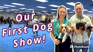 Fun Match Dog Show with Cavalier Puppies