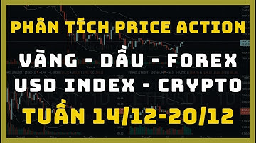 ✅Phân Tích VÀNG - DẦU - FOREX - USD INDEX - CRYPTO Theo Price Action Tuần 04/12-20/12 | TraderViet