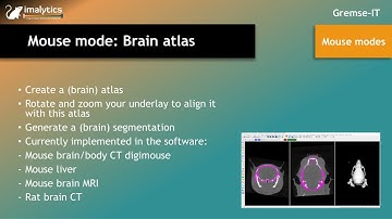 Mouse mode: "Brain atlas"