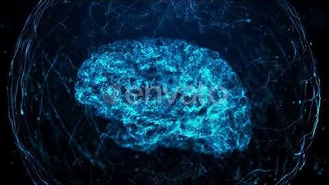 Human Brain in Bule Digital Background | Motion Graphics - Videohive template