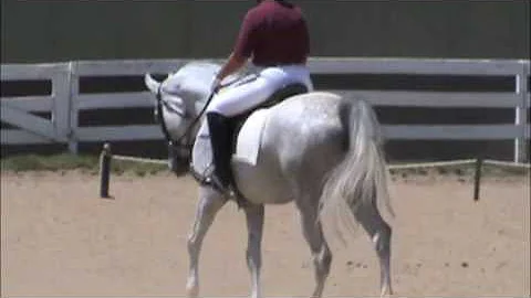 Denise Fuller & Falco 1