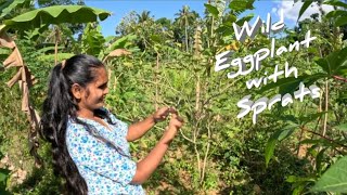Wild eggplant with dry sprats[Thibbatu mellum]