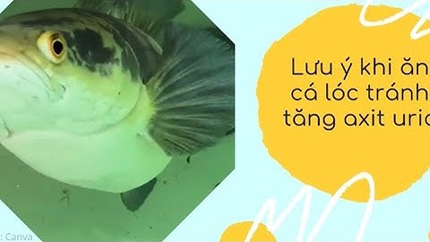 Loại cá có thể làm tăng axit uric nếu ăn nhiều | Báo Lao Động