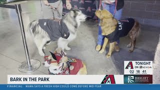 Bark in the Park at Chase Field with the Diamondbacks