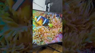 Comment LINK for the product link! 32 inch Curved LED Gaming Monitor by KTC . #GamingMonitor