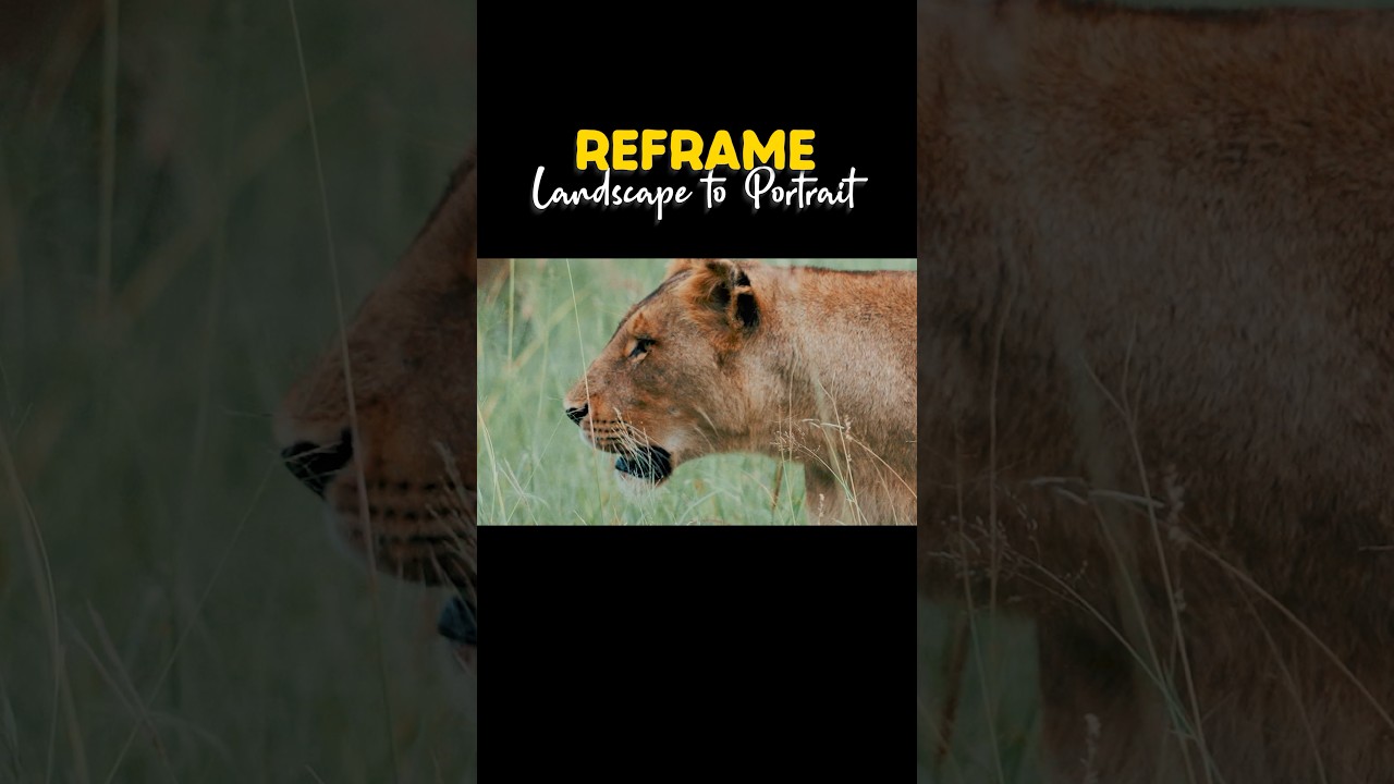 Reframe Landscape Videos into Portrait!  #reframe #landscape #potrait