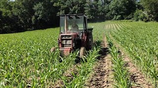 Épandage d'engrais dans les maïs 2021 avec case IH 533