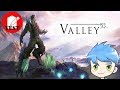 Valley  test vido switch