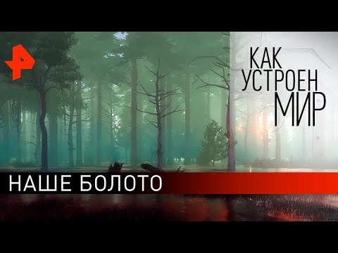 Наше болото. "Как устроен мир" с Тимофеем Баженовым (23.10.19).