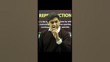 Hesitation Needs Bhaiya 💀||Prashant Kirad #shorts #nexttoppers #cbse #class10 #prashantkirad