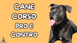 Cane Corso: Pro e Contro