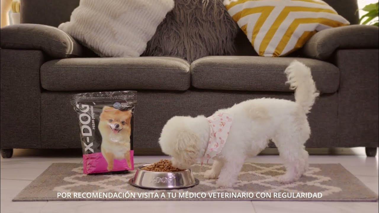 Devuelve un poquito de amor que te dan Comercial Completo Croquetas X