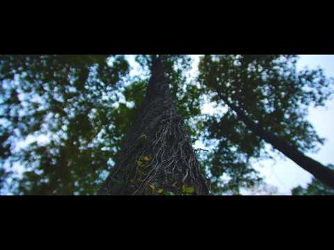Lakewood Grove | Z Cam E2 | Sigma 18-35mm f1.8