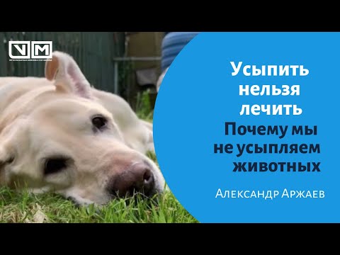 Усыпить нельзя лечить! Почему мы не усыпляем животных