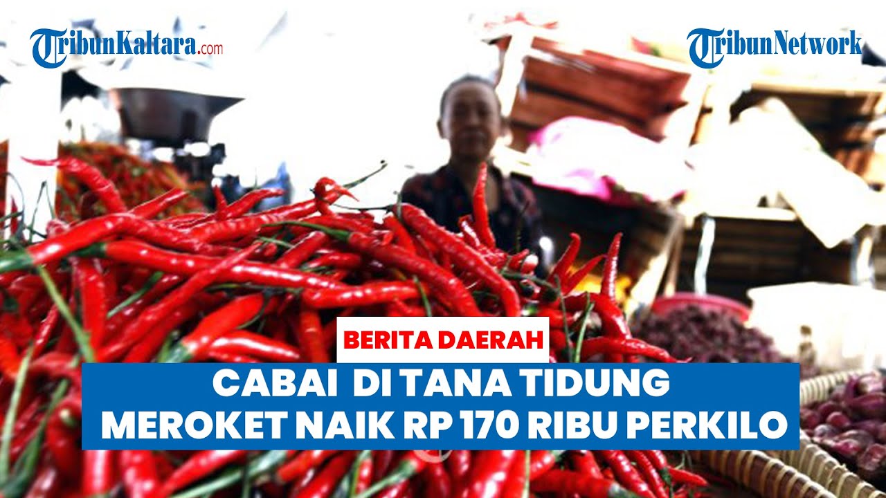 Harga Cabai di Pasar Imbayud Taka Tideng Pale Tana Tidung Meroket Naik ...