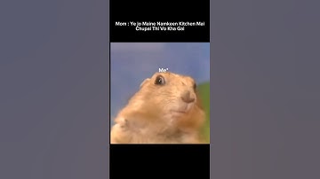 #memes
