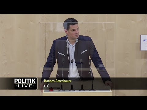 Hannes Amesbauer -