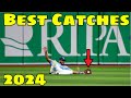 Mlb  best catches april 2024