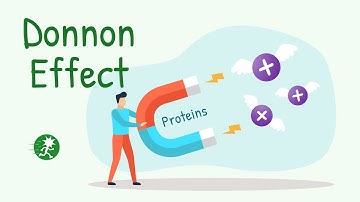 Donnan Effect | Gibbs Donna Equilibrium | Membrane Physiology