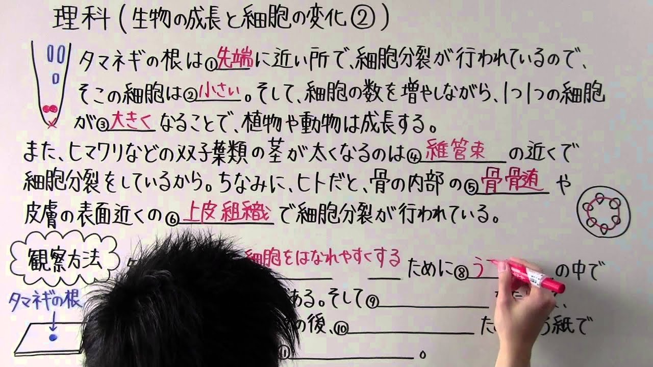 男 し 3 と て が 中 理科 ある みた 授業