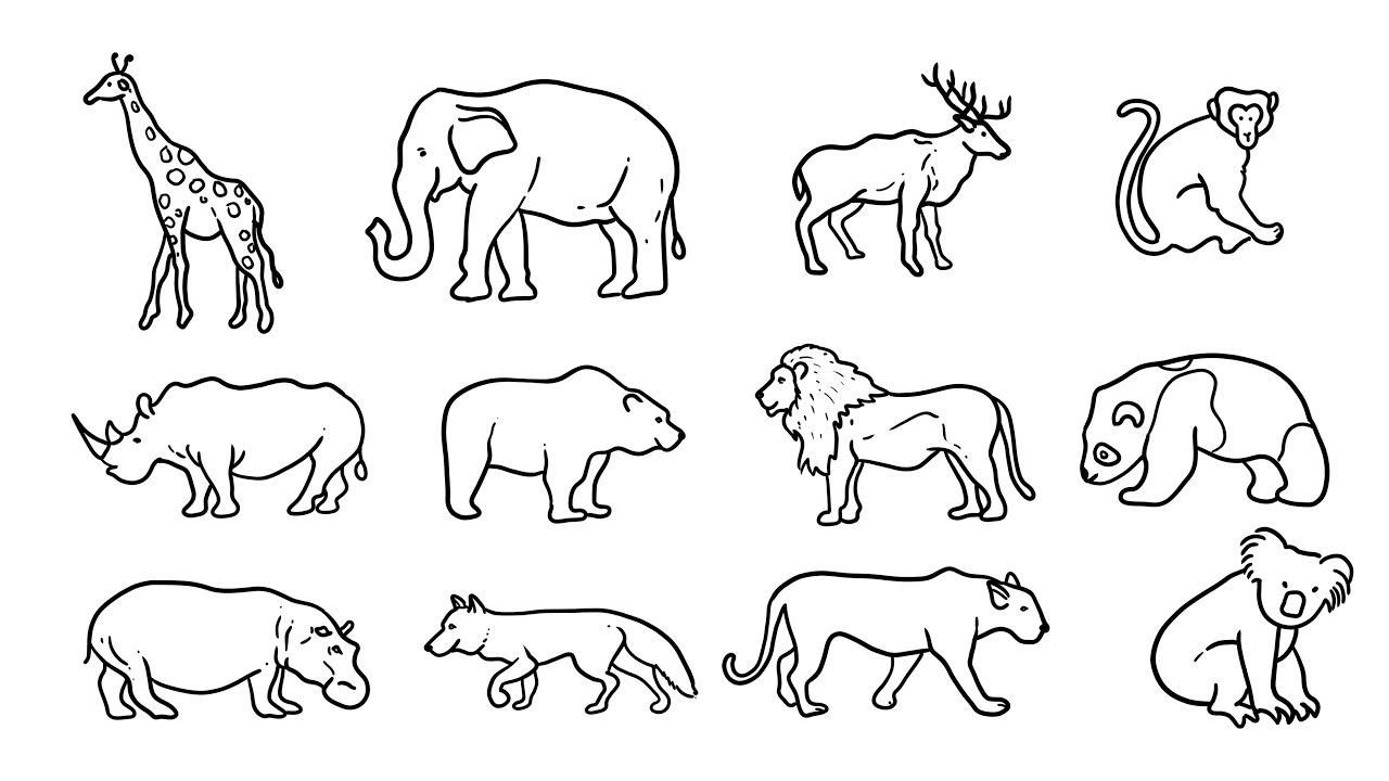 Collection of little wild animals sketchstyle 1254274 Vector Art at  Vecteezy