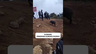 Bagas Gunung Cikuray Resimi