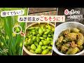 捨ててない?ねぎ坊主がごちそうになる簡単レシピ