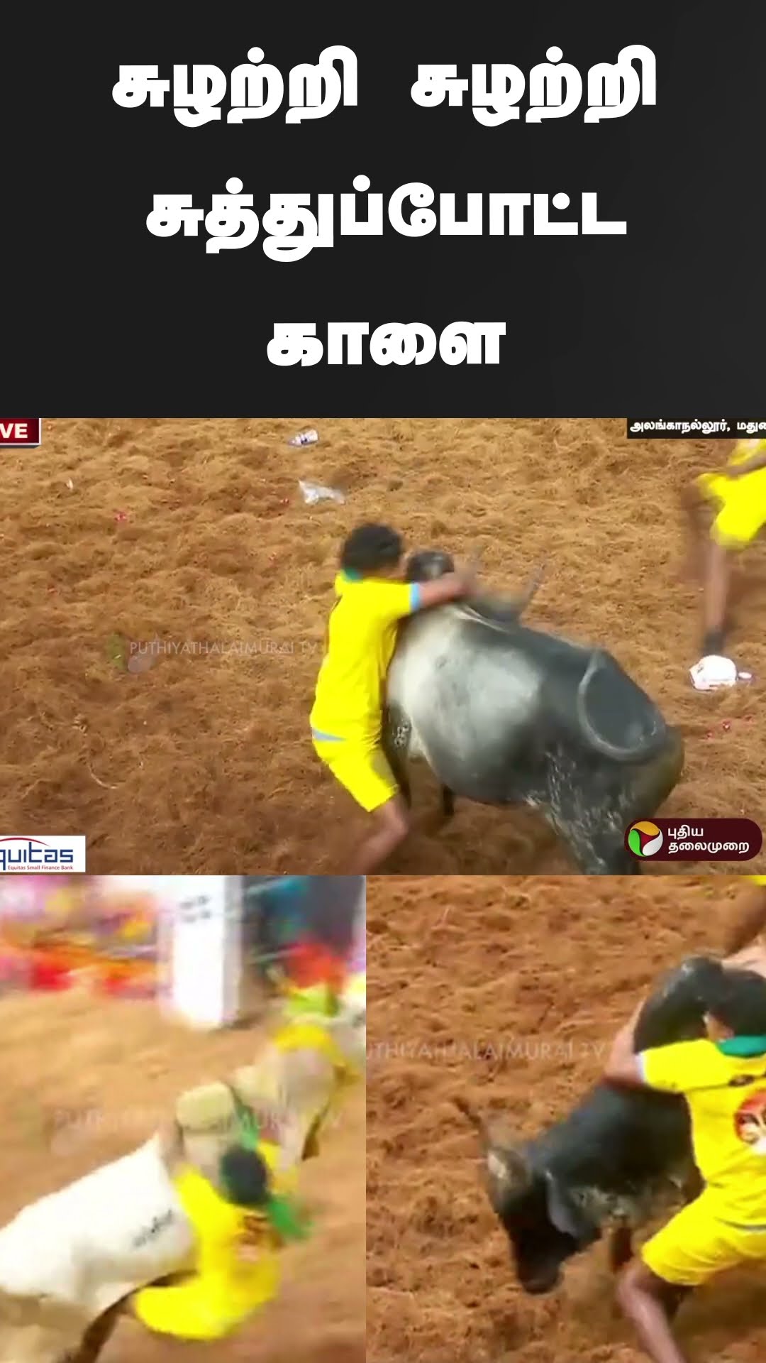 சுழற்றி சுழற்றி சுத்துப்போட்ட காளை #shorts |  | #madurai | #jallikattu2025