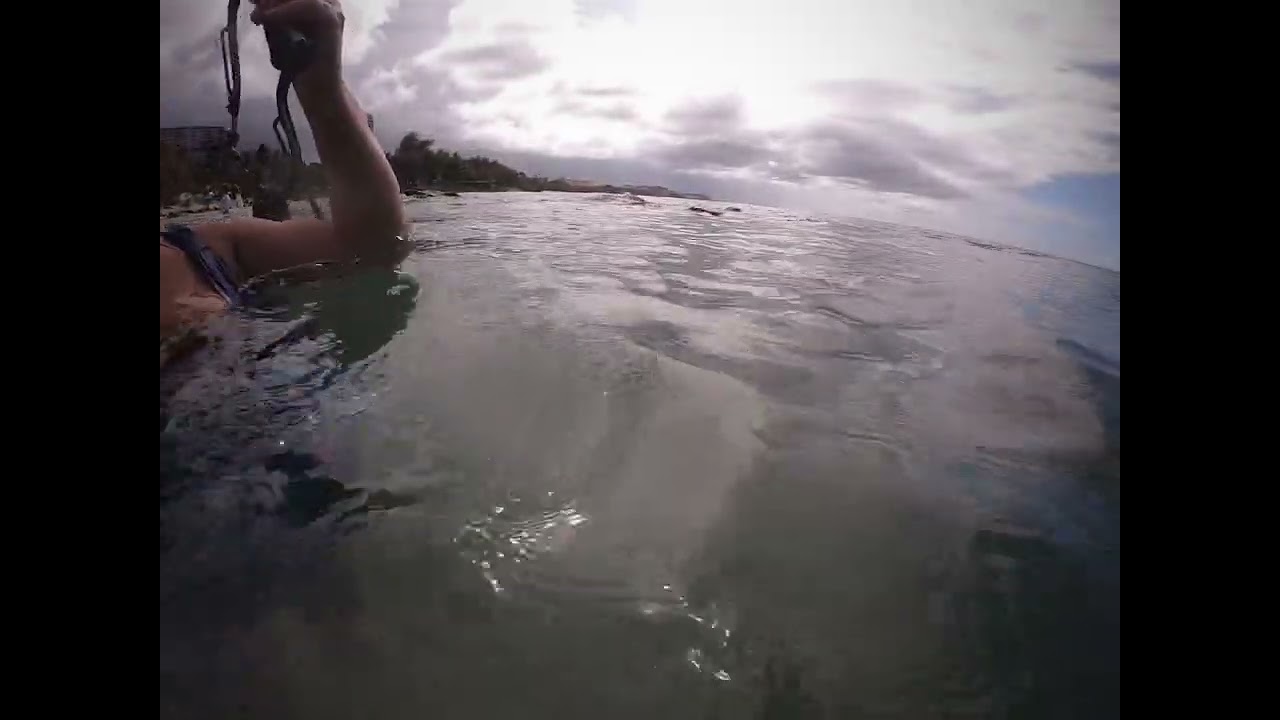 Ambar visitando los peces en Escambron beach San Juan Puerto Rico 🇵🇷🐟🐠