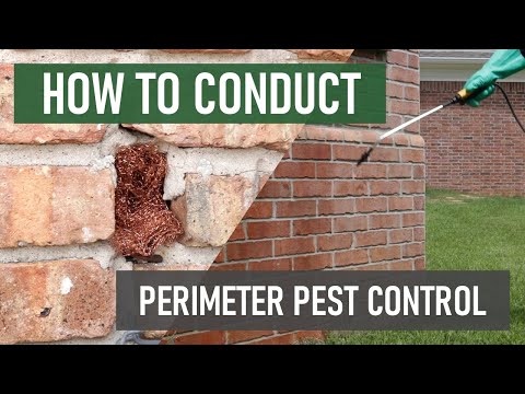 What Is Perimeter Pest Control