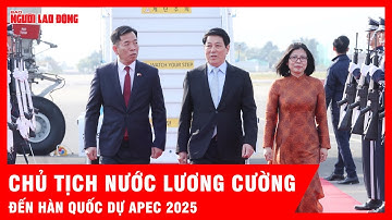 Chủ tịch nước Lương Cường đến Hàn Quốc, bắt đầu chương trình dự APEC 2025 | Tin tức