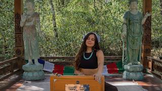 Harmonium Sound Healing for Deep Relaxation | 1 Hour Meditation Music in Heaven Sanctuary screenshot 5