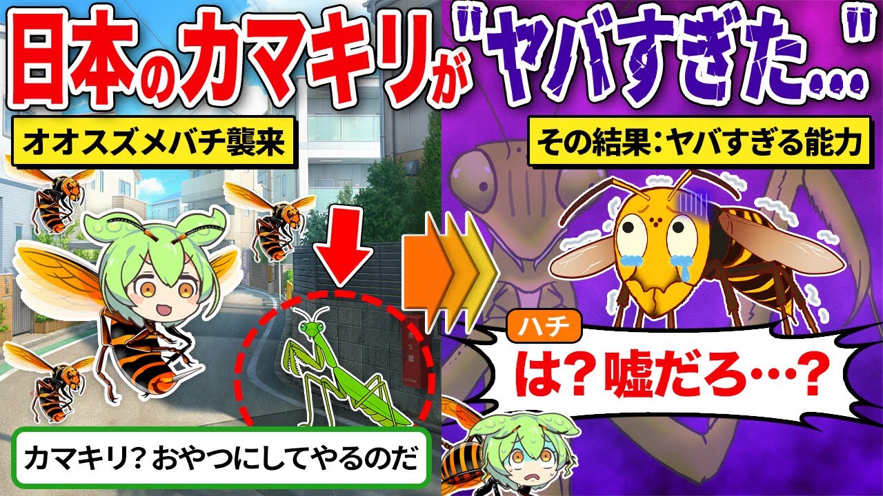 【修羅の国】日本昆虫の一匹である”カマキリ”のチート能力がヤバすぎた