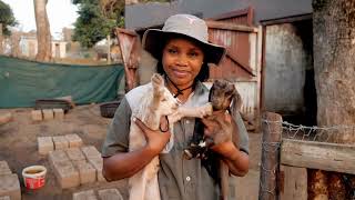 Black Female farmer Ayanda Zulu speaks on her farm Wenzokuhle in KZN | The Insider SA