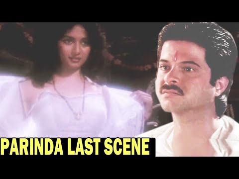 सुहाग रात के समय अनिल कपूर और माधुरी दीक्षित की हुवी हत्या | Parinda Last Scene | Nana Patekar