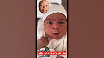 ولك الو 