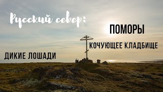 60 км пешком по Терскому берегу. Как живут поморские села. Рыба, лошади, невероятная красота природы