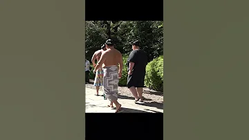 Yokozuna Hoshoryu Tries A New Pulling Technique Sumo 
