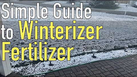 How to Winterize your Lawn | Fall Lawn Fertilizer