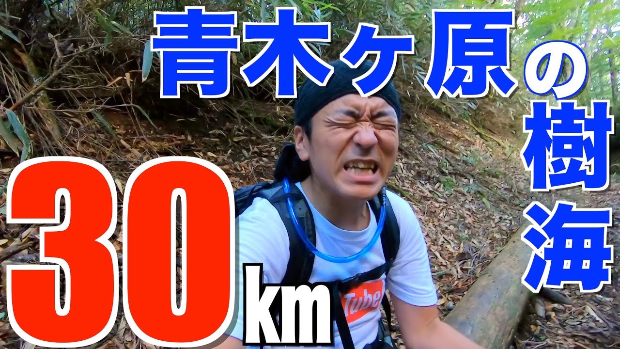 青木ヶ原の樹海を１人で抜けて富士山に登ってみた(精進口登山道)【2018山の日】埼玉の仙人