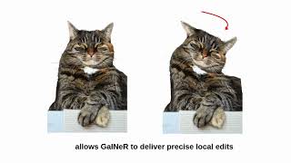 Gainer Geometry-Aware Implicit Neuralrepresentation For Image Editing