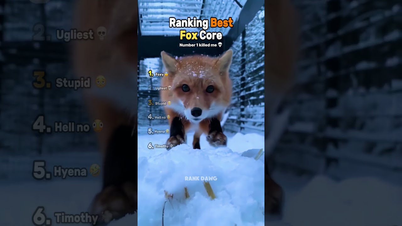 Ranking Cutest Fox Core (Part 2) 🦊