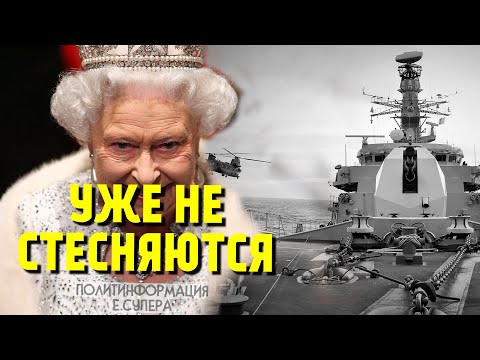 Вопрос: Какой видовой состав пауков в Арктике?