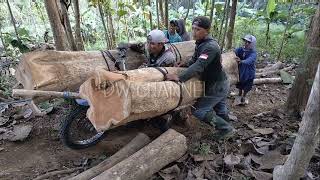 ojek palang kayu jati Blitar Selatan terekstrem dan ternekat di dunia