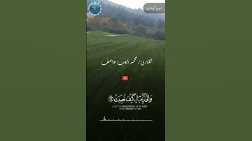#محمد_ايوب #سورة_الغاشية #اكسبلور #duet #القرآن_الكريم #قرآن #لايك #ترند #quran  #دويتو