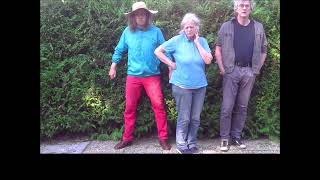 Video #373