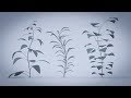 Blender 2 8 modular plant creation with modifiers