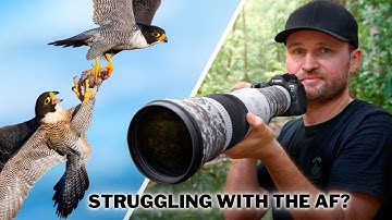 Why Your AUTOFOCUS Always FAILS (And How to Finally FIX IT!)