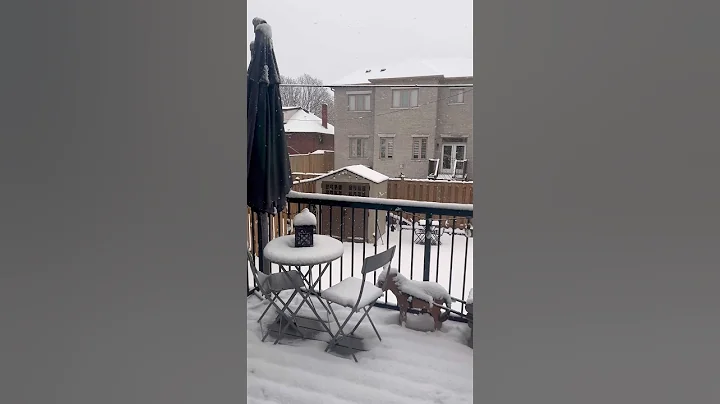 Let It Snow… Again! ❄️ #shorts #Snow #WinterVibes #Snowfall #Aesthetic #ViralShorts #Trending